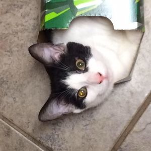 Meet your Posher, Angela